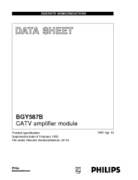 Datasheet  BGY587B